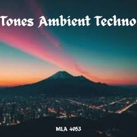 Abe Sibiya - Tones Ambient Techno