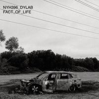 Dylab - Fact of Life