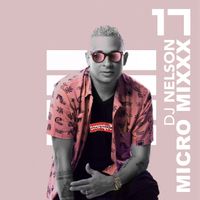 DJ Nelson - Micro Mixx Vol. 17