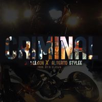 DJ Nelson - Criminal