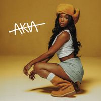 AKIA - DUMBCRAZYSTUPID (Explicit)