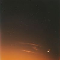 Miro - Simple
