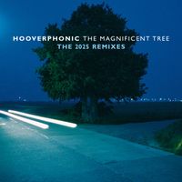 Hooverphonic - The Magnificent Tree - The 2025 Remixes