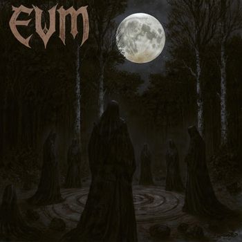 EVM - In the Shadows