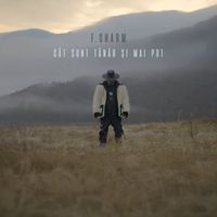 F.Charm - Cât sunt tânăr și mai pot