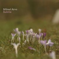 Mikael Arvo - Subtle