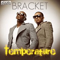 Bracket - Temperature