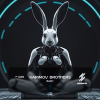 Karimov Brothers - Baby