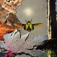 Prieste5s - Prince of Pangaea