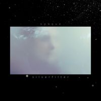 Silverfilter - Opaque