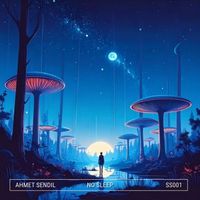 Ahmet Sendil - No Sleep