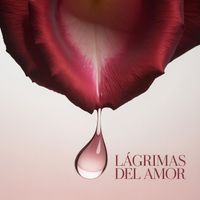 VIBRA - Lágrimas Del Amor