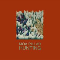 Moa Pillar - Hunting