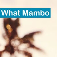 Brian Ales - What Mambo (brian's version)