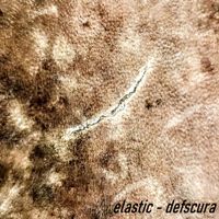 Elastic - Defscura
