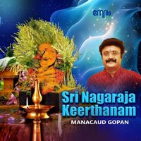 Manacaud Gopan - Sri  Nagaraja Keerthanam