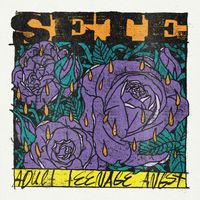 SETE - Telescopes