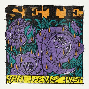 SETE - Telescopes