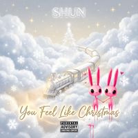 SHUN - You Feel Like Christmas
