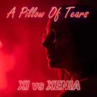 XI - A Pillow Of Tears