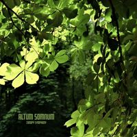 Altum Somnum - Canopy Symphony