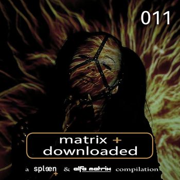 Various Artists - Matrix Downloaded 011 (Explicit)