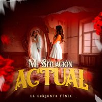 El Conjunto Fénix - Mi Situación Actual