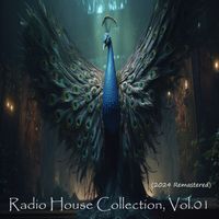 Morris Dj - Radio House Collection, Vol.01