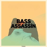 Vision - Bass Assassin