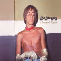 The Stooges - A Thousand Lights