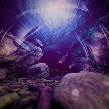 Seek:id - The Deep