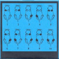 Noma - RFin5P