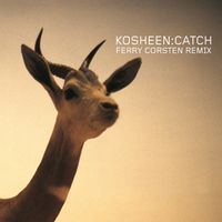 Kosheen - Catch (Ferry Corsten Remix)