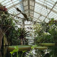 Deltatron - Jardines Ilegales