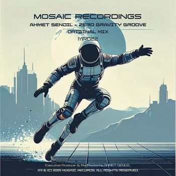 Ahmet Sendil - Zero Gravity Groove