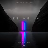 Future Prophecy - Let Me In (Flow (ISR) Remix)