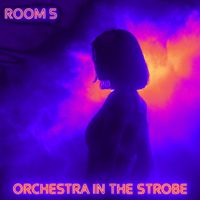 Room 5 - Orchestra in the Strobe
