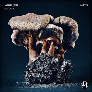 Wohj (BR) - Euforia