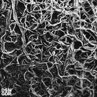 Biorc - After Us, the Flood