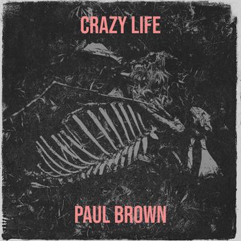 Paul Brown - Crazy Life