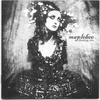 Maple Bee - Chasing Eva