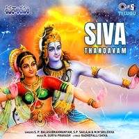 N. Surya Prakash - Siva Thandavam