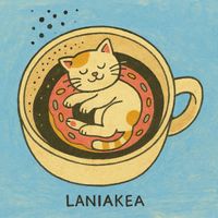 Laniakea - 버그를잡는사람