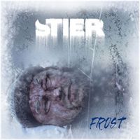 Stier - Frost