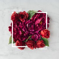 Lifeline - Lovely
