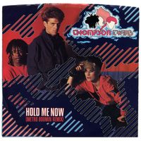 Thompson Twins - Hold Me Now (Metro Boomin Mix)