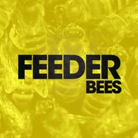 Feeder - Bees (Alt. Mix)