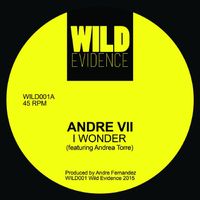 Andre VII - I Wonder