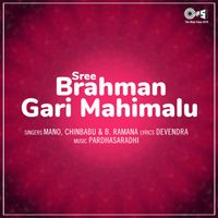 Pardhasaradhi - Sree Brahman Gari Mahimalu