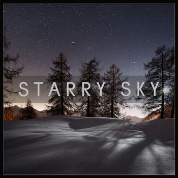 Various Artists - Starry Sky
